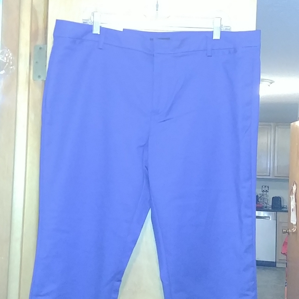 NWT Tommy capris size 16